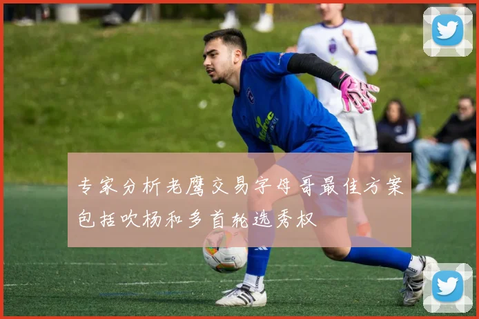 专家分析老鹰交易字母哥最佳方案包括吹杨和多首轮选秀权