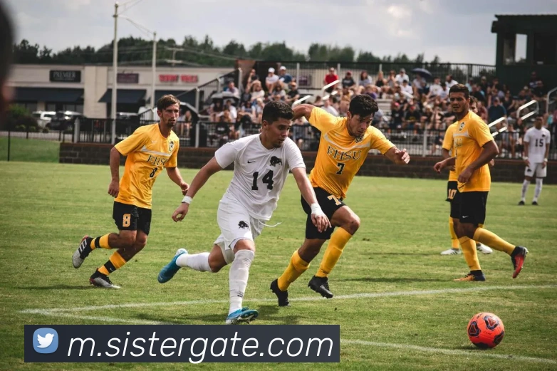 App Interface Preview