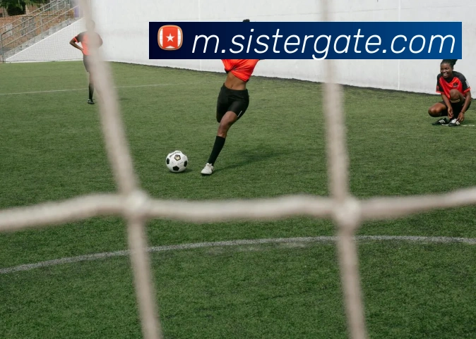 华体会体育APP 封面图